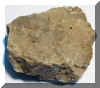 fosillidolamit-michigan.jpg (110115 bytes)