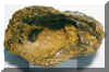 12-ostrea1.jpg (153409 bytes)