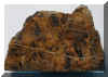 15-polydioxidina2.jpg (105869 bytes)