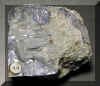 gravite-galen.jpg (130568 bytes)