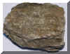 mikaist2-kolorado.jpg (162521 bytes)