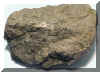ojit-quabec.jpg (104985 bytes)