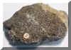tonalit-south australia.jpg (157743 bytes)